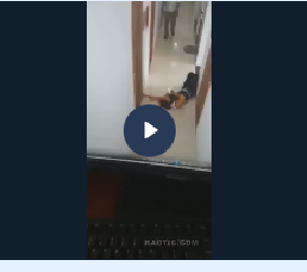 VI:DEO KHONG CHE: Toàn cảnh sự việc