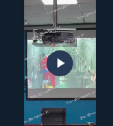 VI:DEO KHONG CHE: Toàn cảnh sự việc