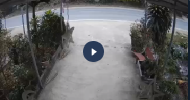 VIDEO KHONG CHE: Toàn cảnh sự việc