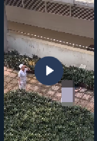 VI:DEO KHONG CHE: Toàn cảnh sự việc