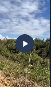 VI:DEO KHONG CHE: Toàn cảnh sự việc