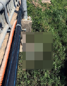 ANH:KHONG CHE: Toàn cạnh sự việc