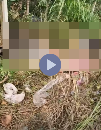 VIDEO KHONG CHE: Cân nhắc khi xem