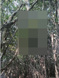 TOÀN CẢNH VỤ VIỆC: Cân nhắc khi xem