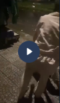 VIDEO KHONG CHE: Toàn cảnh sự việc