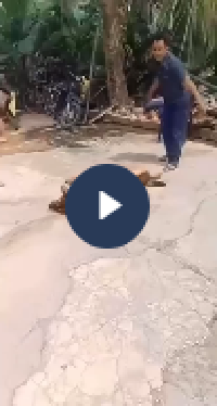 VIDEO KHONG CHE: Cân nhắc khi xem