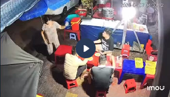 VIDEO KHONG CHE: Toàn cảnh sự việc