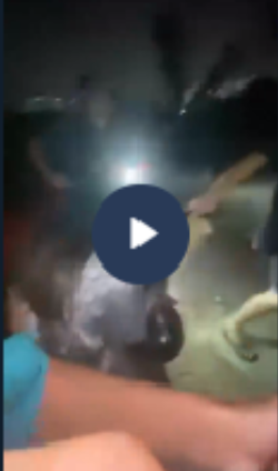 VIDEO KHONG CHE: Cân nhắc khi xem